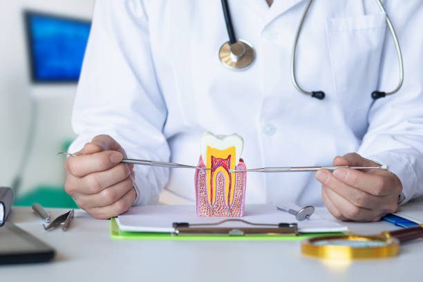 Best Urgent Tooth Repair  in Newburyport, MA